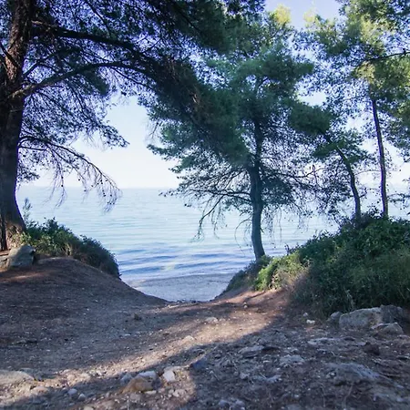 Jenny Криопиги